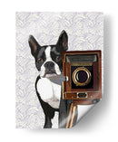 Boston Terrier Fotógrafo - Fab Funky | Cuadro decorativo de Canvas Lab