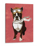 Boston Terrier Volando As - Fab Funky | Cuadro decorativo de Canvas Lab