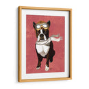 Boston Terrier Volando As - Fab Funky | Cuadro decorativo de Canvas Lab