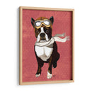 Boston Terrier Volando As - Fab Funky | Cuadro decorativo de Canvas Lab