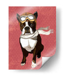 Boston Terrier Volando As - Fab Funky | Cuadro decorativo de Canvas Lab