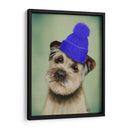 Border Terrier Con Blue Bobble Hat - Fab Funky | Cuadro decorativo de Canvas Lab