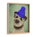 Border Terrier Con Blue Bobble Hat - Fab Funky | Cuadro decorativo de Canvas Lab