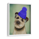 Border Terrier Con Blue Bobble Hat - Fab Funky | Cuadro decorativo de Canvas Lab