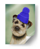 Border Terrier Con Blue Bobble Hat - Fab Funky | Cuadro decorativo de Canvas Lab