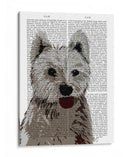 Llanura De West Highland Terrier - Fab Funky | Cuadro decorativo de Canvas Lab