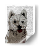 Llanura De West Highland Terrier - Fab Funky | Cuadro decorativo de Canvas Lab