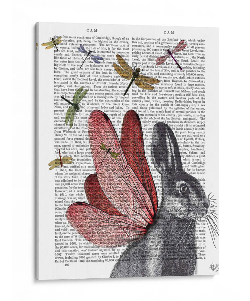 Liare Liare - Fab Funky | Cuadro decorativo de Canvas Lab