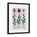 Clavel Italiano 1 - Fab Funky | Cuadro decorativo de Canvas Lab