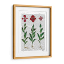 Clavel Italiano 1 - Fab Funky | Cuadro decorativo de Canvas Lab