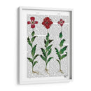 Clavel Italiano 1 - Fab Funky | Cuadro decorativo de Canvas Lab