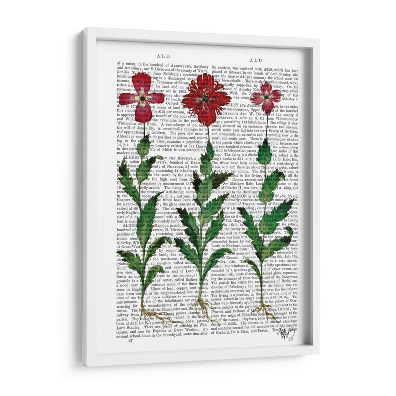 Clavel Italiano 1 - Fab Funky | Cuadro decorativo de Canvas Lab