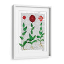 Clavel Italiano 2 - Fab Funky | Cuadro decorativo de Canvas Lab