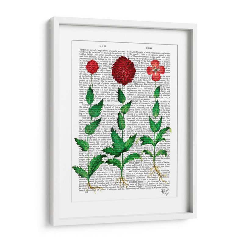 Clavel Italiano 2 - Fab Funky | Cuadro decorativo de Canvas Lab