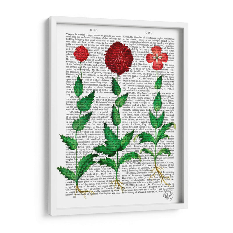 Clavel Italiano 2 - Fab Funky | Cuadro decorativo de Canvas Lab