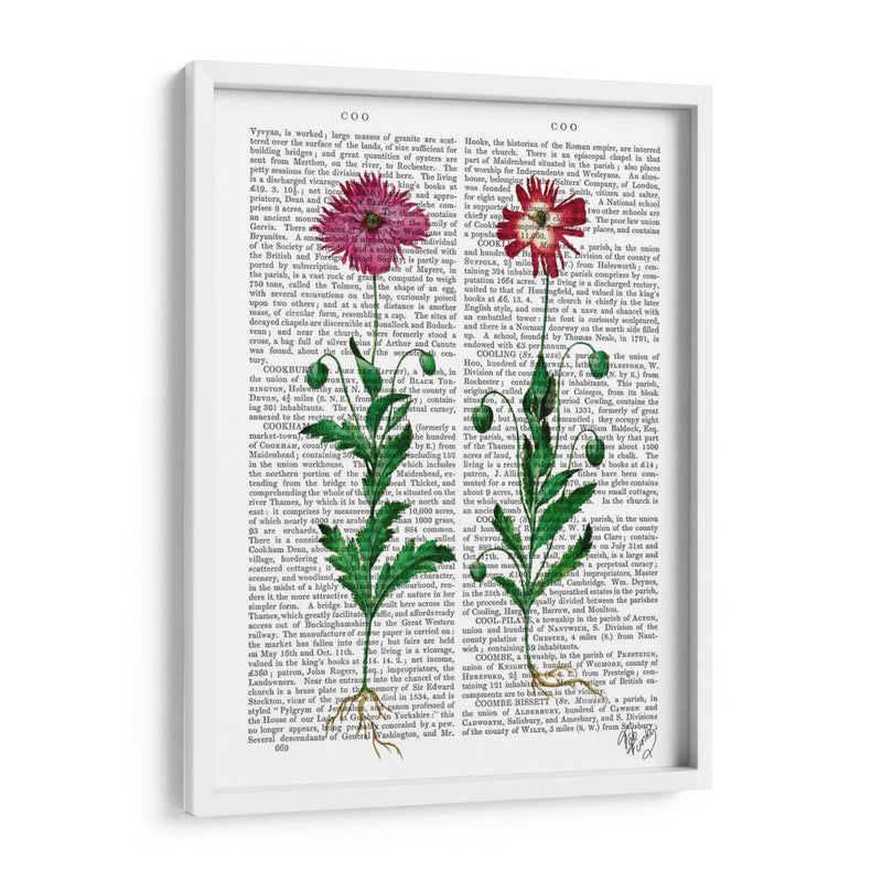 Clavel Italiano 3 - Fab Funky | Cuadro decorativo de Canvas Lab