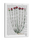 Clavel Italiano 4 - Fab Funky | Cuadro decorativo de Canvas Lab