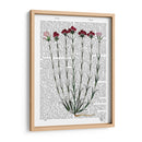 Clavel Italiano 4 - Fab Funky | Cuadro decorativo de Canvas Lab