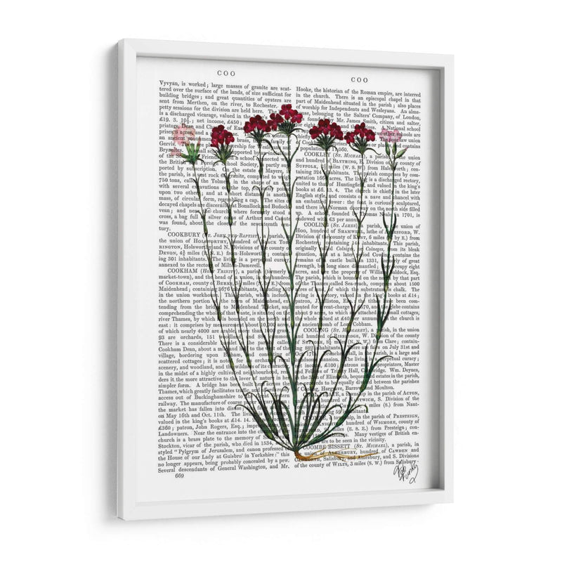 Clavel Italiano 4 - Fab Funky | Cuadro decorativo de Canvas Lab