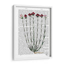 Clavel Italiano 4 - Fab Funky | Cuadro decorativo de Canvas Lab