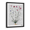 Clavel Italiano 5 - Fab Funky | Cuadro decorativo de Canvas Lab