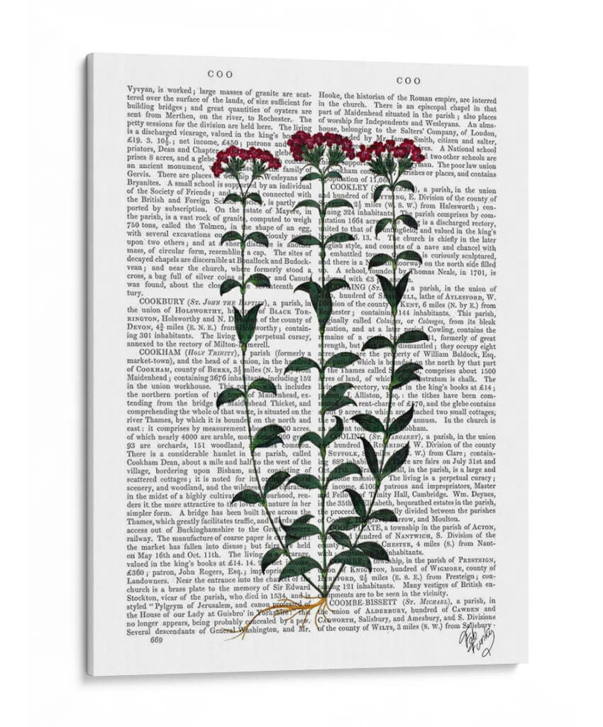 Clavel Italiano 6 - Fab Funky | Cuadro decorativo de Canvas Lab