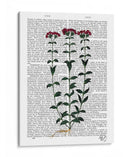 Clavel Italiano 6 - Fab Funky | Cuadro decorativo de Canvas Lab