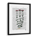 Clavel Italiano 6 - Fab Funky | Cuadro decorativo de Canvas Lab