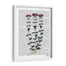 Clavel Italiano 6 - Fab Funky | Cuadro decorativo de Canvas Lab