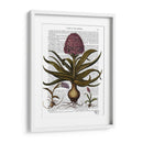 Jacinto Vintage - Fab Funky | Cuadro decorativo de Canvas Lab