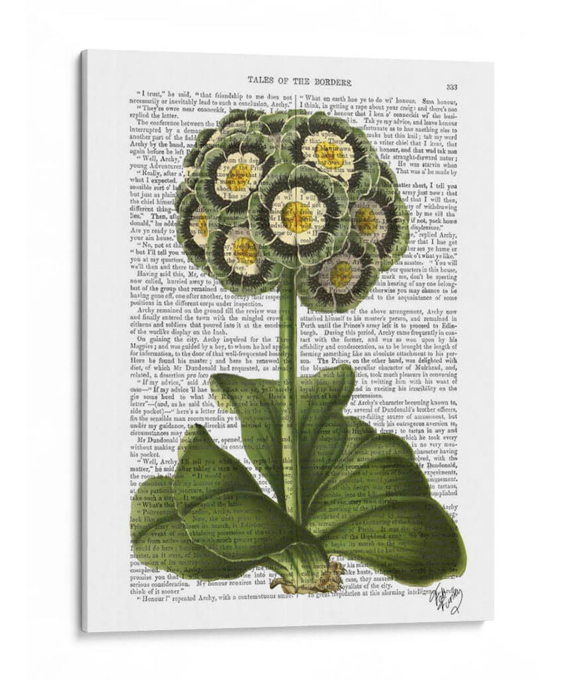 Primula Auricula Azul - Fab Funky | Cuadro decorativo de Canvas Lab