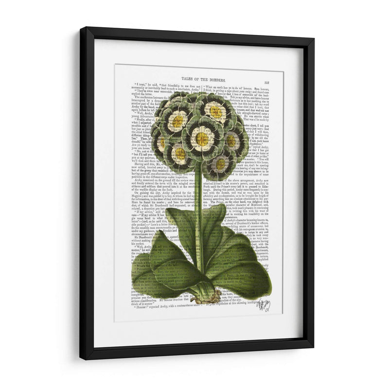 Primula Auricula Azul - Fab Funky | Cuadro decorativo de Canvas Lab