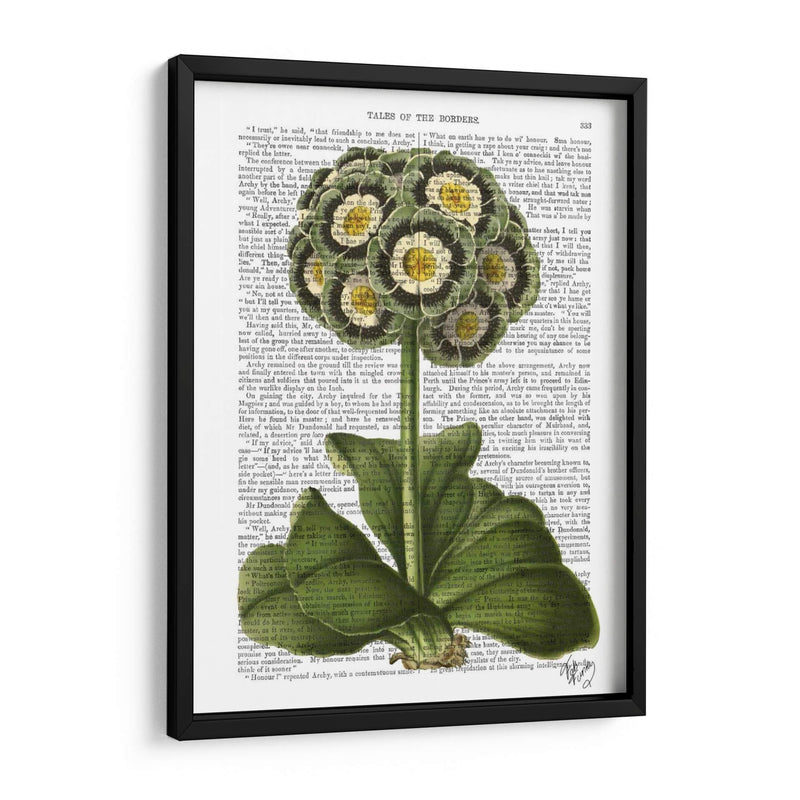 Primula Auricula Azul - Fab Funky | Cuadro decorativo de Canvas Lab