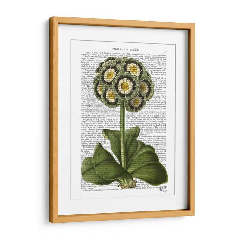 Primula Auricula Azul - Fab Funky | Cuadro decorativo de Canvas Lab