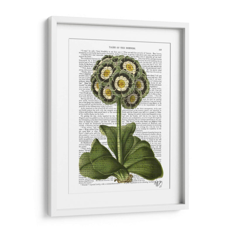 Primula Auricula Azul - Fab Funky | Cuadro decorativo de Canvas Lab