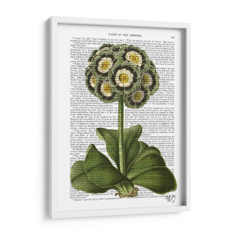 Primula Auricula Azul - Fab Funky | Cuadro decorativo de Canvas Lab