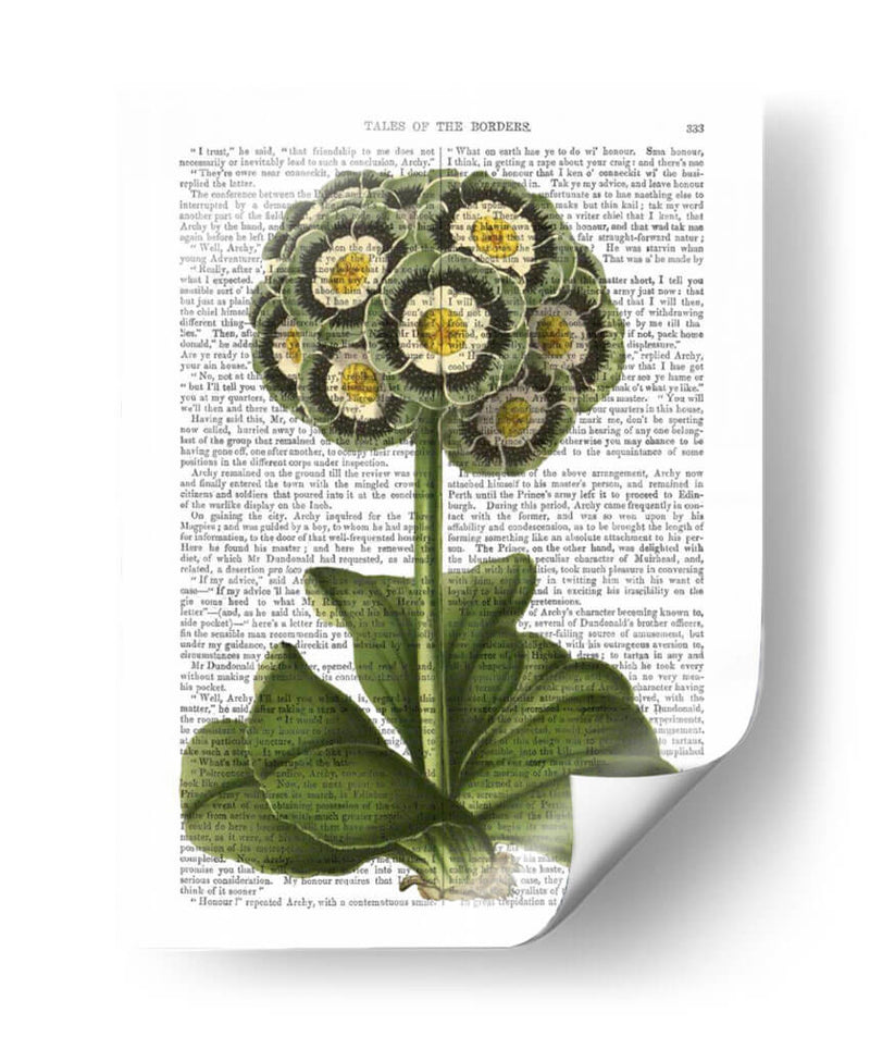 Primula Auricula Azul - Fab Funky | Cuadro decorativo de Canvas Lab