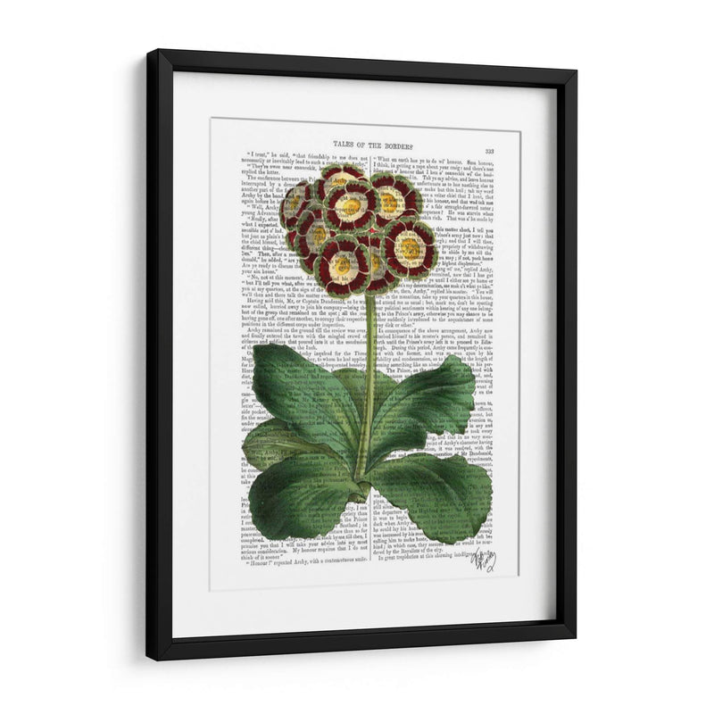 Primula Auricula Rojo - Fab Funky | Cuadro decorativo de Canvas Lab