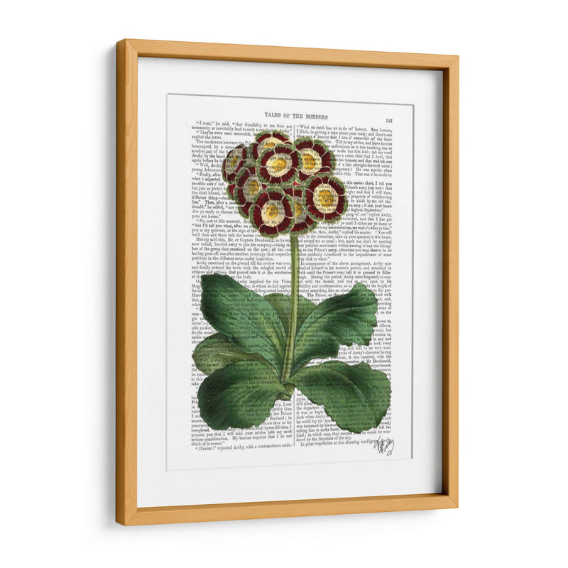 Primula Auricula Rojo - Fab Funky | Cuadro decorativo de Canvas Lab