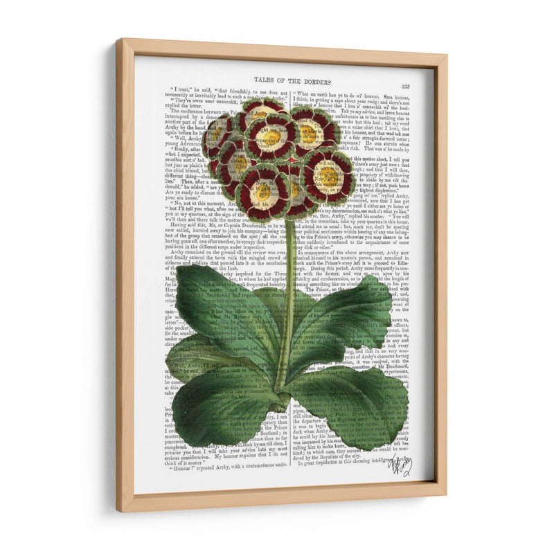 Primula Auricula Rojo - Fab Funky | Cuadro decorativo de Canvas Lab