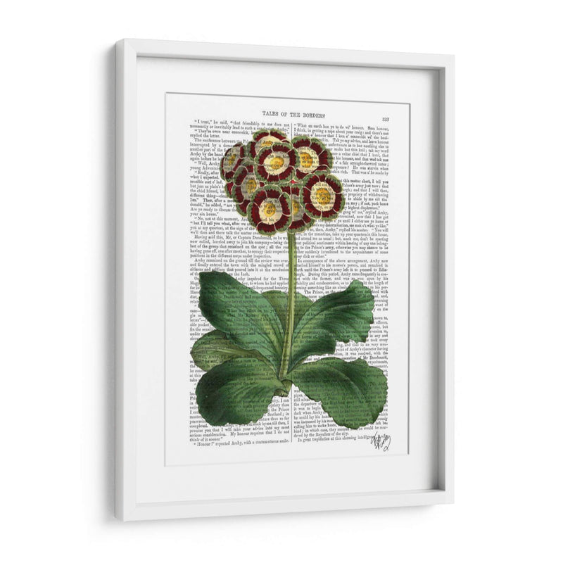 Primula Auricula Rojo - Fab Funky | Cuadro decorativo de Canvas Lab