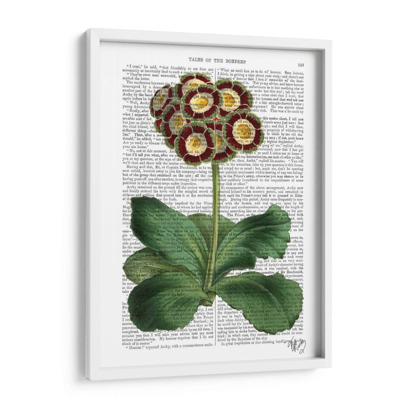 Primula Auricula Rojo - Fab Funky | Cuadro decorativo de Canvas Lab