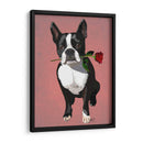 Boston Terrier Con Rosa En Boca - Fab Funky | Cuadro decorativo de Canvas Lab