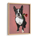 Boston Terrier Con Rosa En Boca - Fab Funky | Cuadro decorativo de Canvas Lab