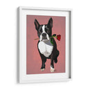 Boston Terrier Con Rosa En Boca - Fab Funky | Cuadro decorativo de Canvas Lab