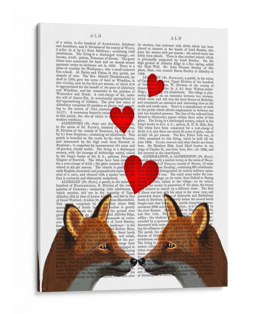 Zorros Enamorados - Fab Funky | Cuadro decorativo de Canvas Lab