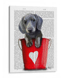 Cubos De Amor Dachshund Puppy - Fab Funky | Cuadro decorativo de Canvas Lab