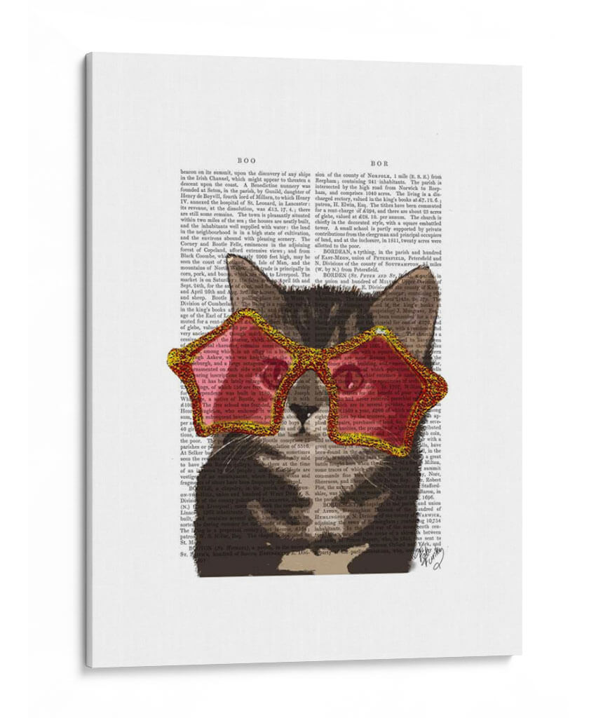 Gatito En Gafas De Sol Star - Fab Funky | Cuadro decorativo de Canvas Lab