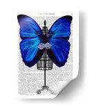 Maniquí Azul Mariposa - Fab Funky | Cuadro decorativo de Canvas Lab