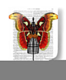 Maniquí Rojo Y Mariposa Amarilla - Fab Funky | Cuadro decorativo de Canvas Lab